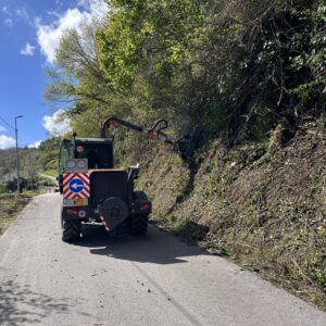 DISPOSIZIONE CHIUSURA CANTIERI FORESTALI