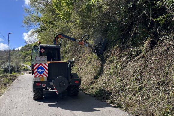 DISPOSIZIONE CHIUSURA CANTIERI FORESTALI