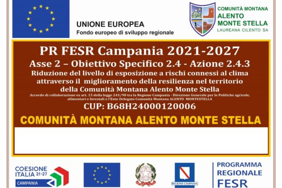 PIANO DI FORESTAZIONE E BONIFICA MONTANA PIANO ANNUALE 2024. PROGRAMMAZIONE RISORSE CAMPANIA FESR 2021-2027 – ASSE 2 – OBIETTIVOSPECIFICO 2.4 AZIONE2.4.3, INVESTIMENTI PER IL POTENZIAMENTO DELL’INFRASTRUTTURA FORESTALE REGIONALE,  CUP: B68H24000120006